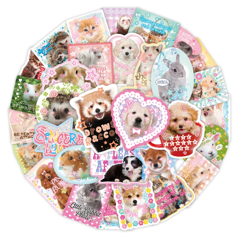 Phone Accessories For Kids - 50 unids/set Kawaii moda álbum de